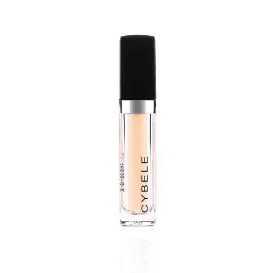 Cover up Concealer & Contour